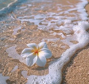 ISLAND PETALS